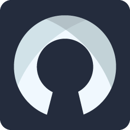 RAYDIAX Logo