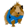 Zedira Logo